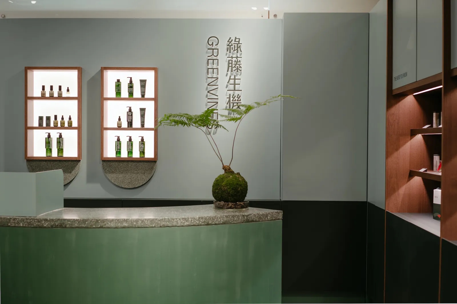 綠藤生機的門市櫃檯、商品陳列與體驗區皆使用水磨石，搭配綠植植栽