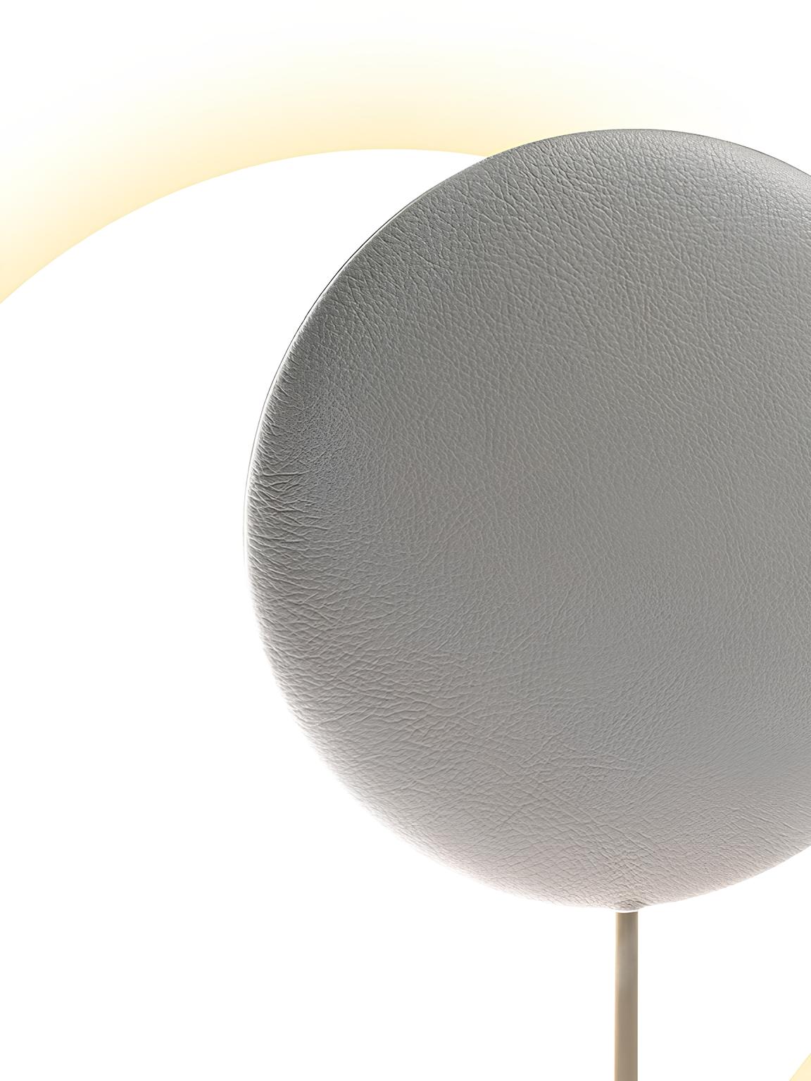 Moonbeam的產品特寫近照